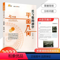 平面几何七年级 [正版]2023版爱与恨的初中平面几何七八九年级初中数学奥数思维拓展培优新方法拔尖特训竞赛数学课学习方法