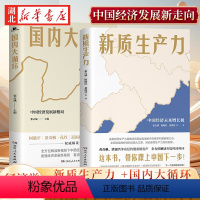 [正版]全2册 新质生产力 中国经济未来增长极+国内大循环 中国经济发展新格局 2024年读懂中国经济全新读本 中国经