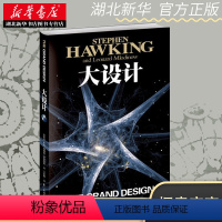 [正版]书店 大设计 史蒂夫霍金 时间简史果壳中的宇宙霍金沉思录作者书籍 湖南科学技术出版社 自然科学类科普读物 图书
