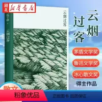[正版]云烟过客 迟子建散文系列 新版 中国现当代随笔传记名家经典散文集作品选集 青少年课外阅读精选文学书籍 书店