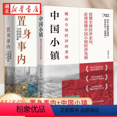 [正版]全2册中国小镇 撬动全球经济的重镇+置身事内 中国政府与经济发展 兰小欢 张梦希 著 解读中国经济的发展 对世