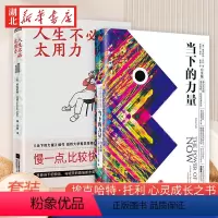 [正版]全2册当下的力量 白金版+人生不必太用力 埃克哈特·托利 一生的心灵成长之书 拯救你的跑调人生 自我实现励志