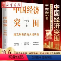 [正版]中国经济突围 新发展阶段的关键议题 王东京 著 解读中国新发展阶段的关键议题 高质量发展 共同富裕 科技创新