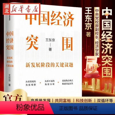 [正版]中国经济突围 新发展阶段的关键议题 王东京 著 解读中国新发展阶段的关键议题 高质量发展 共同富裕 科技创新