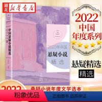 [正版]2022年中国悬疑小说精选 2022中国年选系列 悬疑小说年度文学选本 收录时空画师 江雪 百万赢家 牛顿与希