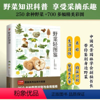 [正版]野菜轻图鉴 250余种常见野菜识别与食用指南 高清彩图 蔬菜品种特征鉴别营养价值 科普野菜知识书籍生活百科全书