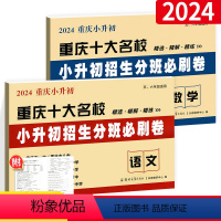 [⭐尖子生推荐!⭐]语数2本 小学升初中 [正版]2024新版小升初招生分班必刷卷语文数学 重庆十大名校小学升初中真题模