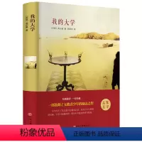 [正版]精装全译我的大学 高尔基 书籍 大悦读语文阅读丛书 少儿读物励志 书籍排行榜CD