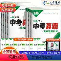 [语数英]3科套装 全国通用 [正版]2024新版全国中考真题卷语文数学英语物理化学生物真题试卷精选汇编试卷初二初三九年