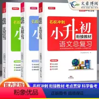 [小升初]总复习语+数+英3本 小学通用 [正版]新版名校冲刺小升初必刷题真题卷系统总复习语文数学英语小升初名师帮你总复
