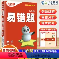 星空小升初数学易错题 小学通用 [正版]2024小白鸥原创小升初数学易错题三四五六年级应用题数学专项思维训练重难点知识点