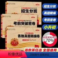 ⭐⭐[备战小升初全套●9本]真题+突破+分班卷 小学升初中 [正版]2024小升初试卷重点学校考前突破密卷语文数学英语六