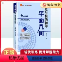 爱与恨的初中平面几何 九年级/初中三年级 [正版]爱与恨的初中平面几何九年级上下全一册 黄东坡 培优新方法 初中9年级数