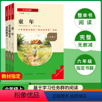 [六年级上册]快乐读书吧全套 3册 [正版]2024版名校课堂快乐读书吧六年级上册童年小英雄雨来爱的教育必读名著全套小学