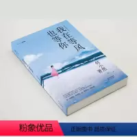 [正版] 我在等风也等你 何小然著 青春文学小说 白茶清欢无别事