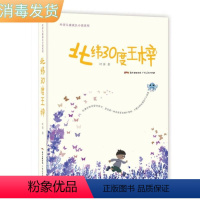 [正版]tnsy叶萍儿童成长小说系列:北纬30度王梓 作者叶萍的书 广东人民