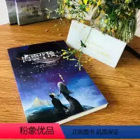 [正版]海奥华预言 中文版 米歇戴斯玛克特著地球人的外星游记 外观地球