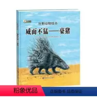 (精装绘本)狂野动物绘本:威而不猛——豪猪 [正版]tnsy 威而不猛:豪猪Tatsuro·Kiuch