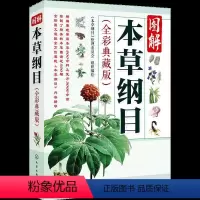 [正版] 图解本草纲目 李时珍原著中医养生书籍大全中药书中草药书入
