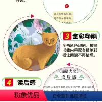 [正版] 谜语大全书 小学生课外阅读书籍三四五六年级彩图版儿童读物