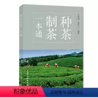 [正版]种茶制茶一本通王镇恒 詹罗九茶树茶园茶叶