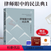 [正版]2021新书 律师眼中的民法典1 北京市安通律师事务所 著 知识要点