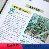 [正版]精编中国药典中药原色图谱 中草药图鉴图谱 中国药材图鉴 中医学