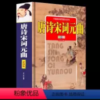 [正版]唐诗宋词元曲彩图版全本精装 注释赏析诗评 古典诗词鉴赏书籍