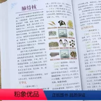 [正版]告别肺病+肺结核合理用药与食疗中医五脏养生系列教你调养五脏食