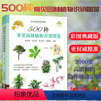 [正版]500种常见园林植物识别图鉴 彩图典藏版 贺风春常见园林花草树木植物野花野外识别与鉴赏手册速查图谱图鉴通俗易懂