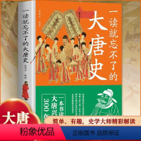 [正版]一读就忘不了的大唐史 一本书读懂大唐兴亡300年用讲故事的方式带你拨开历史迷雾领略大唐王朝三百年兴衰荣辱一读就