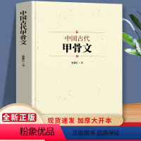 [正版]中国古代甲骨文 国学经典历史文字中国说文解字汉字工具书古典文学 甲骨文知识字典画说汉字文字解说文解字新编 传统