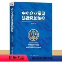 [正版]中小企业常见法律风险防控 企业管理风险防控法律书籍 法律常识一本全 民间企业融资公司风险投资追索债权常见法律风