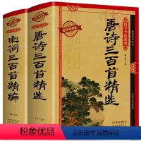 [正版]精装 唐诗三百首+宋词三百首 唐诗宋词全集鉴赏辞典古诗词大全集歌赋赏析成人初中学生版唐诗宋词三百首全集无删减版