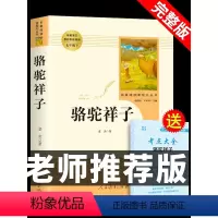 [人教版2册] 海底骆驼 赠考点 [正版]骆驼祥子原著必读老舍七年级下册人民教育出版社老师初中生版七下初一课外阅读书籍名