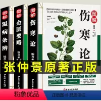 [正版]3册 伤寒论金匮要略张仲景原版伤寒杂病论解说温病条辨图解白话解中医入门零基础学养生中药书籍大全原著中药材医学类