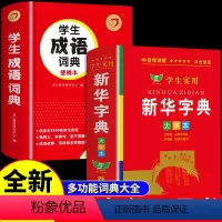 [正版]全套2册 学生实用字典大字版带音频 全笔顺写字组词规范字典多音字小学生小学初中工具书儿童版多功能成语词典人教版