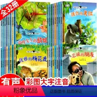 奇趣大自然科普绘本32册 [正版]全套32册 绘本阅读幼儿园 儿童故事书3岁2岁4-5到6岁幼儿书籍宝宝图书小班中班大班