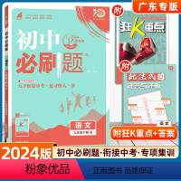 语文--广东专用 [正版]2024新版初中九年级下册语文人教版RJ 2020初中初三九下中考复习资料9年级中考题库同步辅