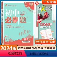语文--广东专用 [正版]2024新版初中九年级下册语文人教版RJ 2020初中初三九下中考复习资料9年级中考题库同步辅