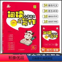 [正版]金牛耳阅读与写作文小学生五年级语文阅读理解训练题小学生5年级 语文作文上下册辅导书人教版看图说话写话大全三合一