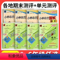 8本❤❤[各期期末卷+单元卷]人教语数英+[科学]教科版 六年级下 [正版]2024孟建平各地期末试卷精选一二三年级四五