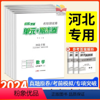 河北专版 语文[人教] 七年级下 [正版]河北专版!2024名校课堂单元+期末卷真题卷精编初中七八年级下册试卷测试卷全套