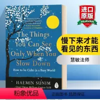 慢下来才能看见的东西 [正版]华研原版 慢下来才能看见的东西 英文原版小说 The Things You Can See