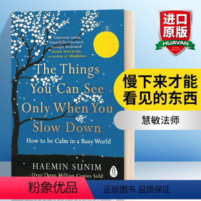 慢下来才能看见的东西 [正版]华研原版 慢下来才能看见的东西 英文原版小说 The Things You Can See