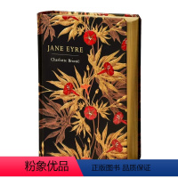 简爱.. [正版] 简爱英文版原版小说 Jane Eyre 英文原版小说 夏洛蒂勃朗特 Charlotte Bronte