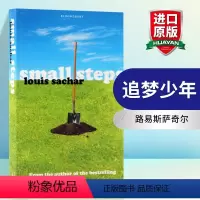 追梦少年 [正版]英文原版 Small Steps 碎步 追梦少年 洞的作者路易斯萨奇 英文版 进口英语原版书籍