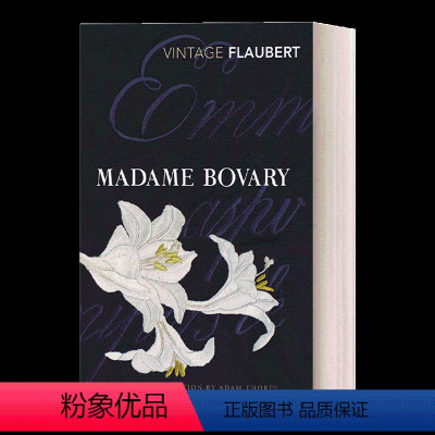 包法利夫人 福楼拜 [正版]英文原版 Madame Bovary 包法利夫人 福楼拜 Vintage经典系列 英文版 进
