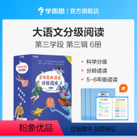 [正版]大语文分级阅读第三辑第三学段 共6本 5-6年级适用 小学生课外书籍 一千零一夜 金银岛 雾都孤儿 彼得·潘