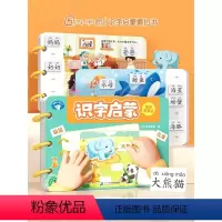 识字启蒙书1册+识字拼图8张 [正版]斗半匠2-6岁宝宝识字启蒙游戏书幼儿识字早教魔术贴儿童象形看图识字卡片幼儿认字神器
